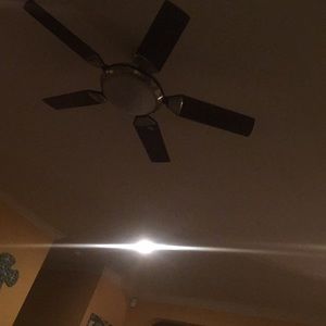 Meet your Posher, Trevor